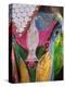 Festival of Colors II-Art Wolfe-Premier Image Canvas