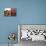 Fez Morocco leather baskets & oriental carpet on the wall in the old medina-Ellen Clark-Premier Image Canvas displayed on a wall