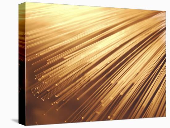 Fiber Optic Wires-null-Premier Image Canvas