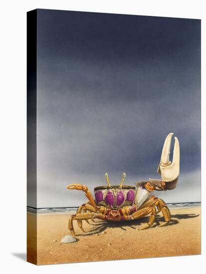 Fiddler Crab-Harro Maass-Premier Image Canvas