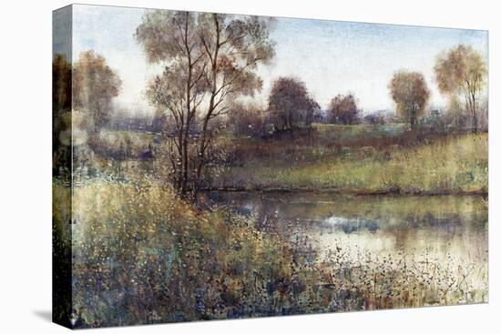 Field And Stream-Tim O'toole-Premier Image Canvas