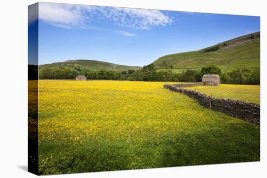 Field Barns and Buttercup Meadows at Muker-Mark Sunderland-Premier Image Canvas