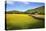 Field Barns and Buttercup Meadows at Muker-Mark Sunderland-Premier Image Canvas