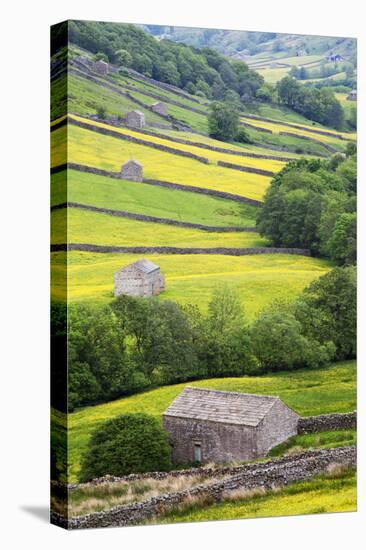 Field Barns in Buttercup Meadows Near Thwaite in Swaledale-Mark Sunderland-Premier Image Canvas