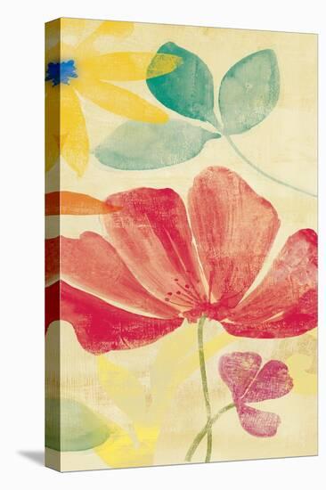 Field Floral II-Andrew Michaels-Stretched Canvas