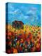 Field Flowers And Old Barn - Poppies-Pol Ledent-Stretched Canvas