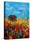 Field Flowers And Old Barn - Poppies-Pol Ledent-Stretched Canvas