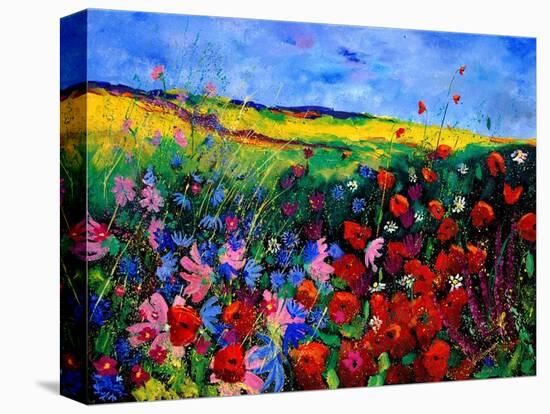 field flowers (poppies, chicorees daisies and many more)-Pol Ledent-Stretched Canvas