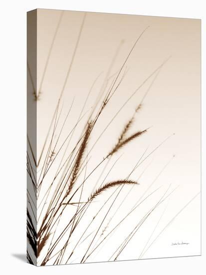 Field Grasses I Sepia-Debra Van Swearingen-Premier Image Canvas