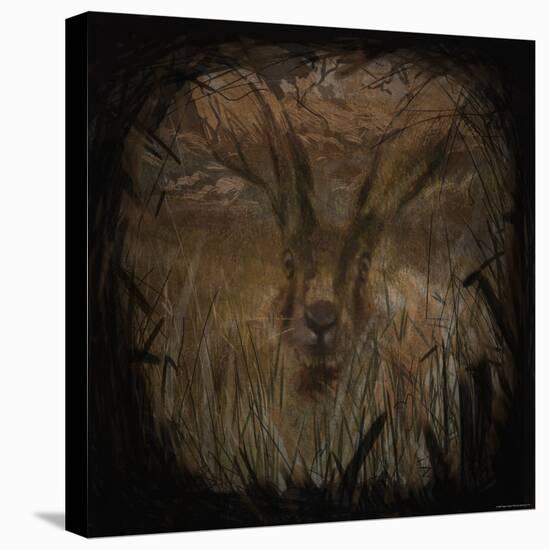 Field Hare-Tim Kahane-Premier Image Canvas