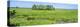 Field, Jean Lafitte National Park, New Orleans, Louisiana, USA-Panoramic Images-Premier Image Canvas