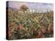 Field of Banana Trees-Pierre-Auguste Renoir-Premier Image Canvas