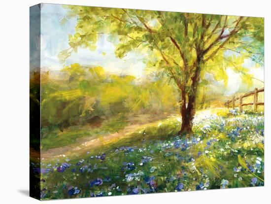 Field of Bluebells-Danhui Nai-Stretched Canvas