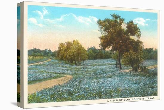 Field of Bluebonnets, Texas-null-Stretched Canvas