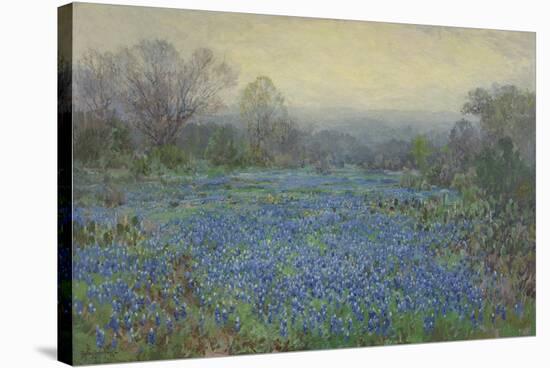 Field of Bluebonnets-null-Stretched Canvas