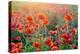 Field of Bright Red Corn Poppy Flowers in Summer-Volodymyr Burdiak-Premier Image Canvas