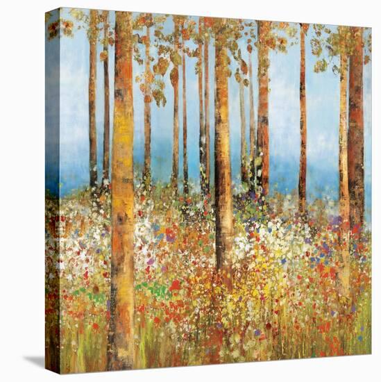 Field of Flowers I-Sloane Addison  -Stretched Canvas