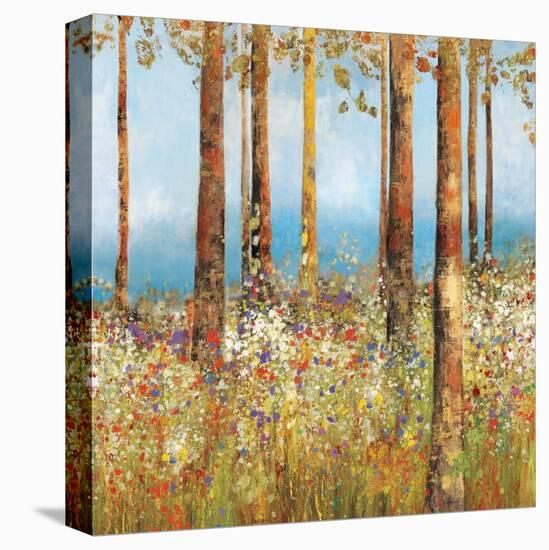 Field of Flowers II-Sloane Addison  -Stretched Canvas