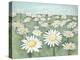 Field of Flowers-Randy Hibberd-Stretched Canvas