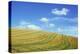 Field of Gold-Den Reader-Premier Image Canvas