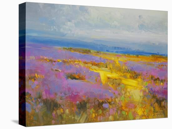 Field of Lavenders 2-Vahe Yeremyan-Stretched Canvas