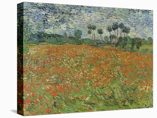 Field of Poppies, Auvers-Sur-Oise, 1890-Vincent van Gogh-Premier Image Canvas