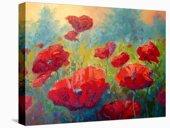 Field Of Poppies-Marion Rose-Premier Image Canvas