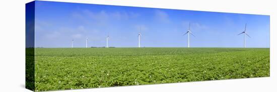 Field of Potatoes in Bloom with Wind Turbines, Thil-Manneville, Saint-Valery-En-Caux-null-Premier Image Canvas