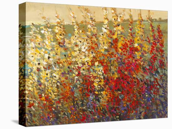 Field of Spring Flowers I-Tim O'toole-Stretched Canvas
