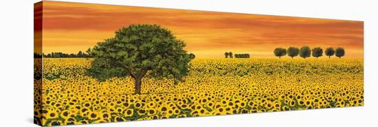 Field of Sunflowers-Richard Leblanc-Stretched Canvas