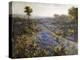 Field of Texas Bluebonnets and Prickly Pear Cacti-Julian Robert Onderdonk-Premier Image Canvas