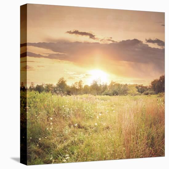 Field of Warmth Square-Kelly Poynter-Premier Image Canvas