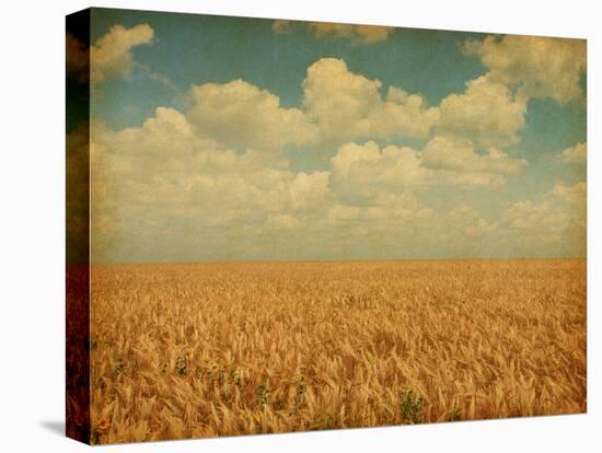 Field of Wheat with Sunflowers-A_nella-Premier Image Canvas