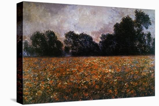 Field of Wild Poppies-Claude Monet-Premier Image Canvas