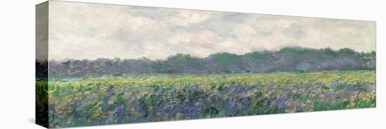 Field of Yellow Irises at Giverny, 1887-Claude Monet-Premier Image Canvas