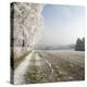 Field Scenery, Wood, Hoarfrost-Roland T.-Premier Image Canvas