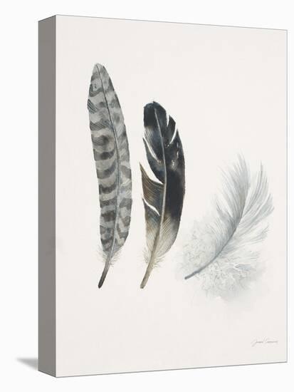 Field Study Feather Trio-Jurgen Gottschlag-Stretched Canvas