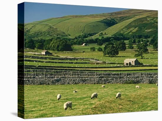 Field Walls of Littondale, Yorkshire Dales National Park, England-Paul Harris-Premier Image Canvas