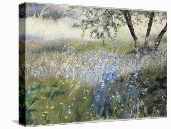 Field with Blue Flowers-Helen J. Vaughn-Premier Image Canvas