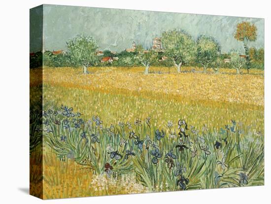 Field with Irises Near Arles-Vincent van Gogh-Premier Image Canvas