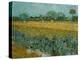 Field With Irises-Vincent van Gogh-Premier Image Canvas