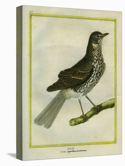 Fieldfare-Georges-Louis Buffon-Premier Image Canvas