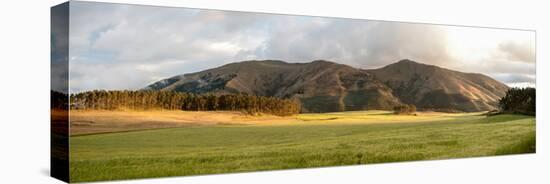 Fields and hills late afternoon sunlight, Imbabura Province, Ecuador-null-Premier Image Canvas