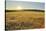 Fields at sunrise, Summer, Gerolzahn, Odenwald, Baden Wurttemberg, Germany-Raimund Linke-Stretched Canvas