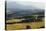 Fields in Tuscany with Hills Beyond-Ralph Richter-Premier Image Canvas