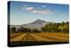 Fields North of Leon and Volcan Telica-Rob Francis-Premier Image Canvas