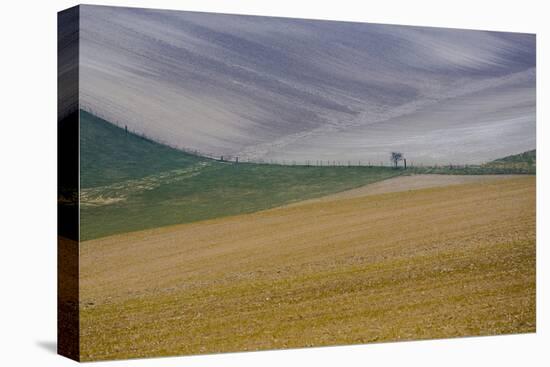 Fields of gold and silver-Valda Bailey-Premier Image Canvas