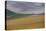 Fields of gold and silver-Valda Bailey-Premier Image Canvas