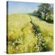 Fields of Gold-Nel Whatmore-Stretched Canvas