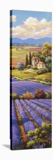 Fields of Lavender I-Sung Kim-Stretched Canvas